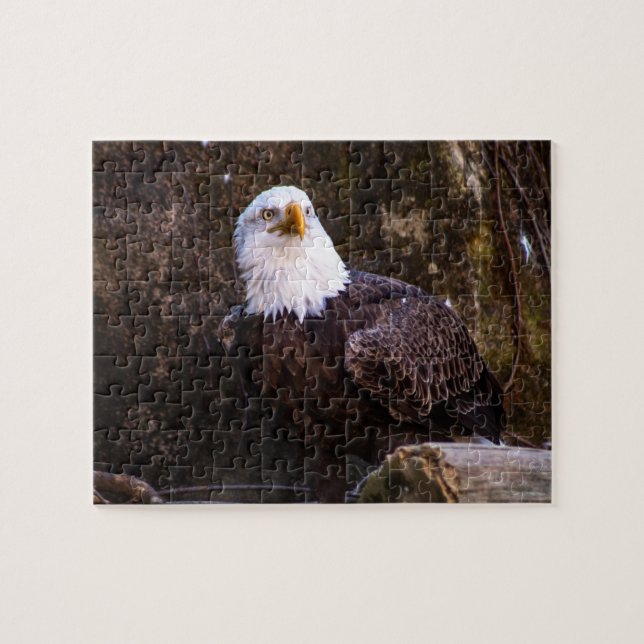 Bald Eagle Jigsaw Puzzle (Horizontal)