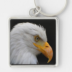 Bald Eagle Key Ring
