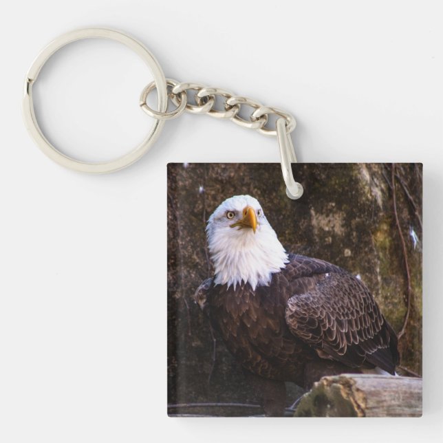 Bald Eagle  Key Ring (Front)