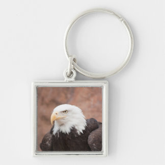 Bald Eagle - Keychain