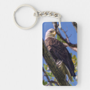 Bald Eagle Keychain