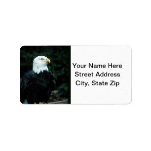 Bald Eagle Label