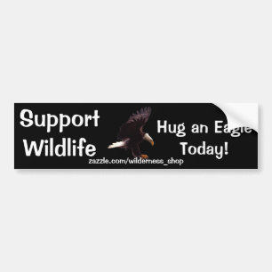 BALD EAGLE Landing Wildlife Support Bumper Sticker