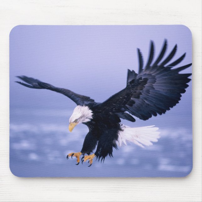 Bald Eagle Landing Wings Spread in a Storm, Mouse Mat (Front)