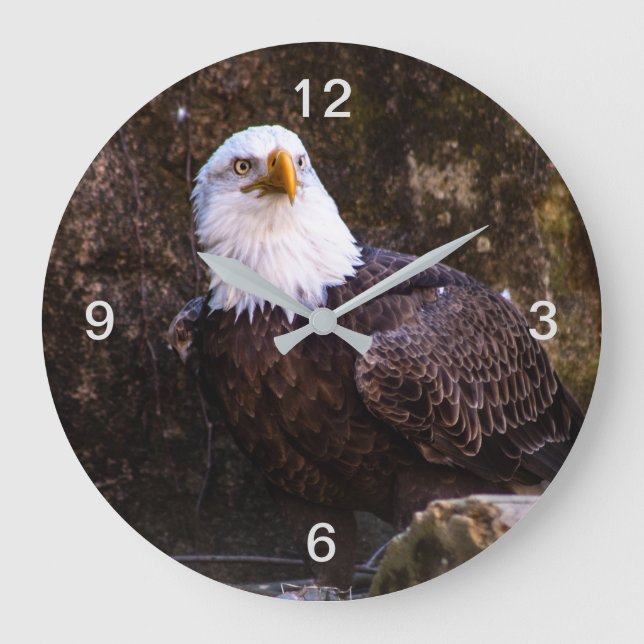 Bald Eagle Large Clock (Front)