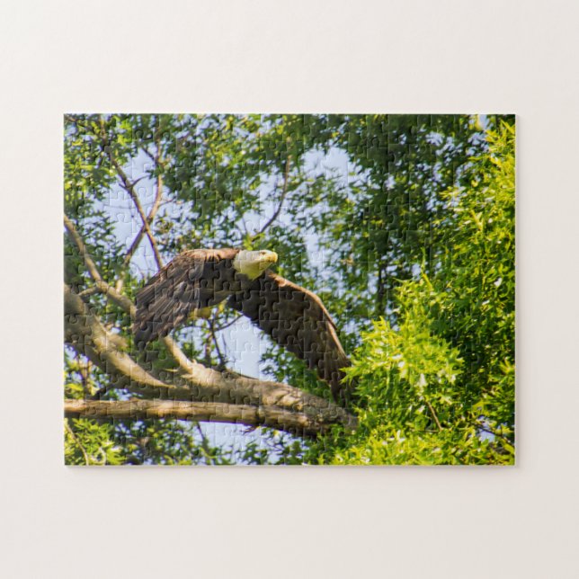 Bald Eagle Launch Jigsaw Puzzle (Horizontal)