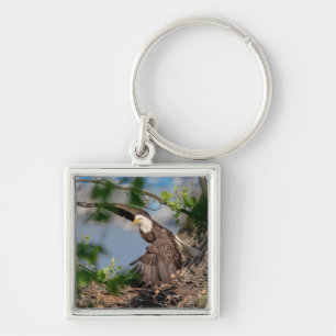 Bald Eagle leaving the nest Key Ring