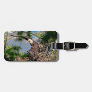 Bald Eagle leaving the nest Luggage Tag