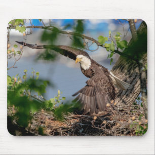 Bald Eagle leaving the nest Mouse Mat