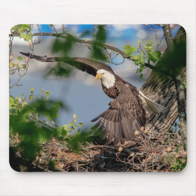 Bald Eagle leaving the nest Mouse Mat (Front)