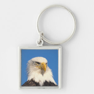 Bald Eagle Look Key Ring