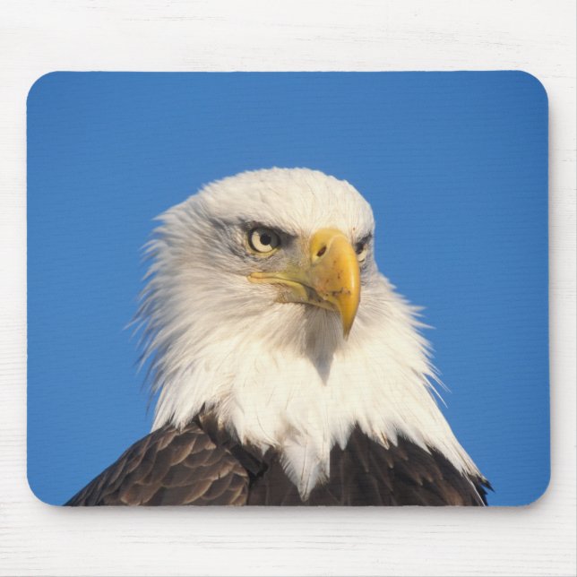 Bald Eagle Look Mouse Mat (Front)