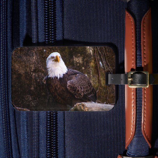 Bald Eagle Luggage Tag (Front Insitu 4)
