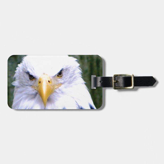 Bald Eagle Luggage Tag (Front Horizontal)