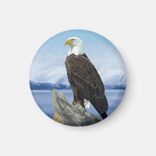 Bald Eagle Magnet