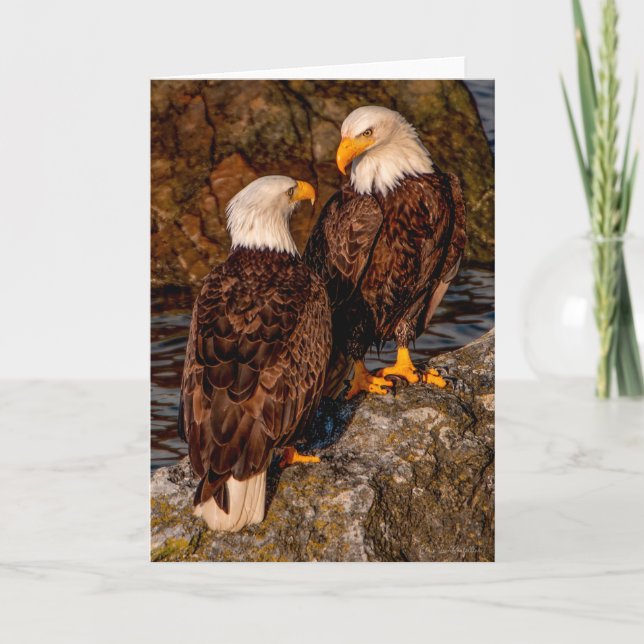 Bald Eagle  Mates  Thank You Card (Front)
