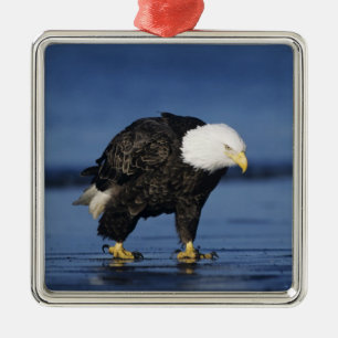 Bald Eagle Metal Tree Decoration