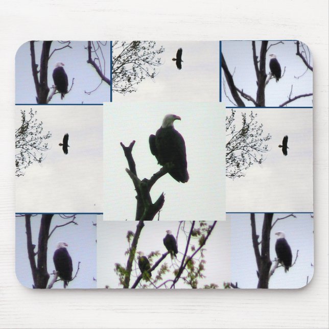 Bald eagle Montage Mouse Mat (Front)