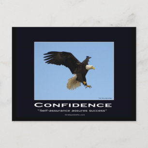 Bald Eagle Motivational Gifts Postcard