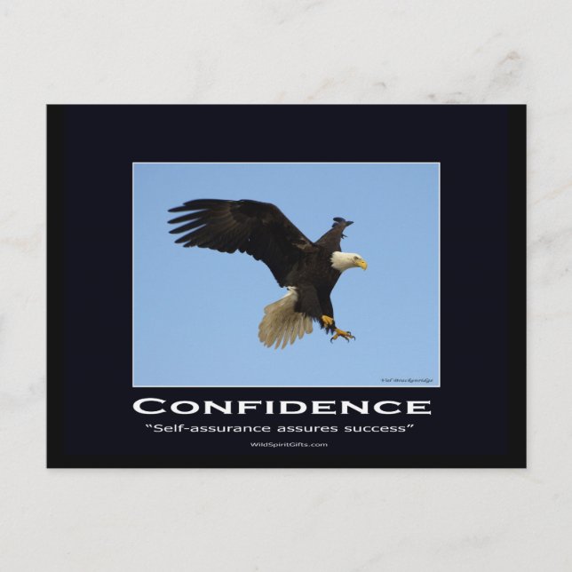 Bald Eagle Motivational Gifts Postcard (Front)