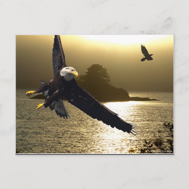 Bald Eagle Motivational Gifts Postcard (Front)