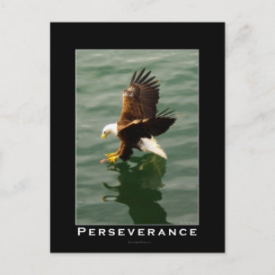 Bald Eagle Motivational Postcards