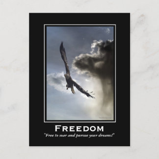 Bald Eagle Motivational Postcards