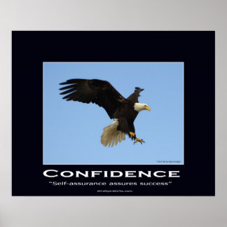 Bald Eagle Motivational Poster
