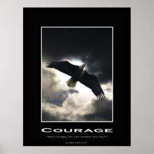 Bald Eagle Motivational Poster