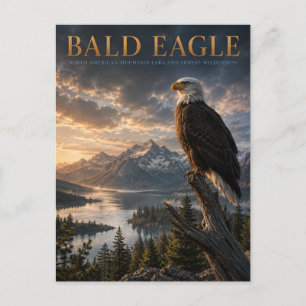 Bald Eagle Mountain Lake ANIMALS Postcard
