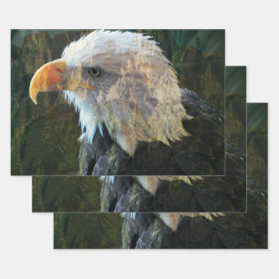 Bald Eagle Mountain Wrapping Paper Sheet