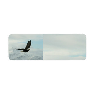 Bald Eagle & mountains