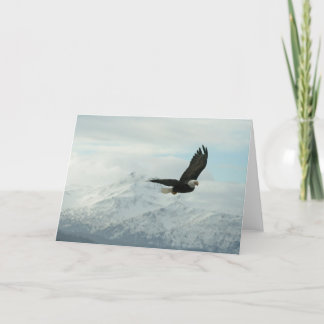 Bald eagle & mountains card