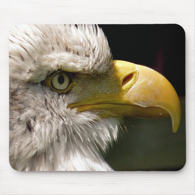 BALD EAGLE MOUSE MAT (Front)