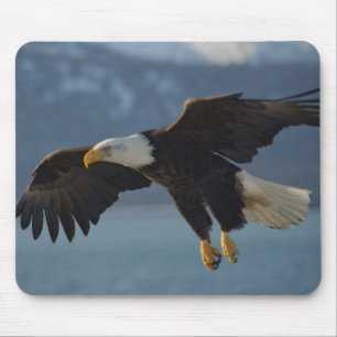 Bald Eagle Mouse Mat
