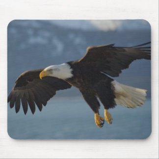 Bald Eagle Mouse Mat