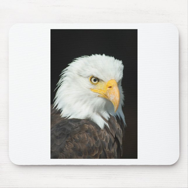 Bald Eagle Mouse Mat (Front)