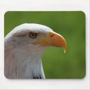 Bald eagle mouse mat