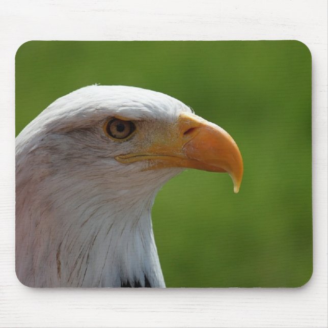 Bald eagle mouse mat (Front)