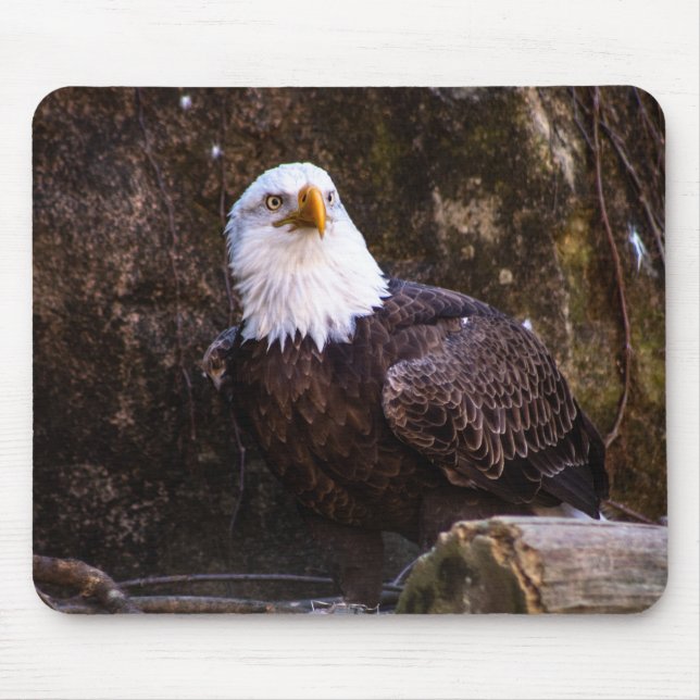 Bald Eagle Mouse Mat (Front)