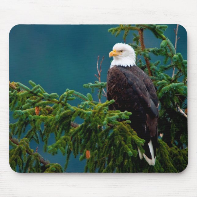 Bald Eagle Mouse Mat (Front)