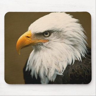 bald eagle mouse mat