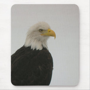 Bald Eagle Mouse Mat