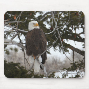 Bald Eagle Mouse Mat