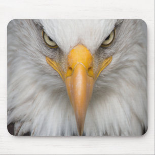Bald Eagle Mouse Mat