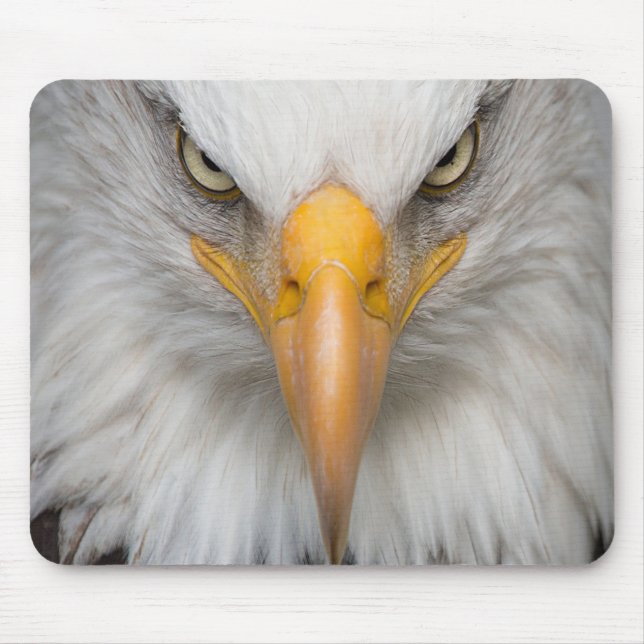 Bald Eagle Mouse Mat (Front)