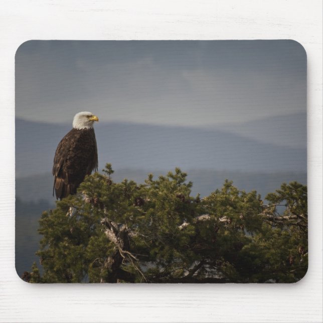 Bald Eagle - Mousepad (Front)