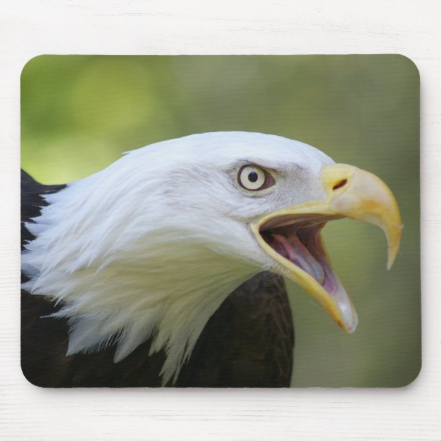 Bald Eagle mousepad (Front)