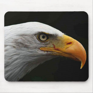 Bald Eagle mpcn Mouse Mat