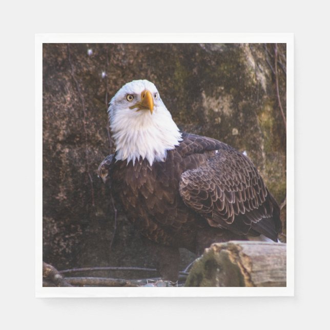 Bald Eagle Napkin (Front)